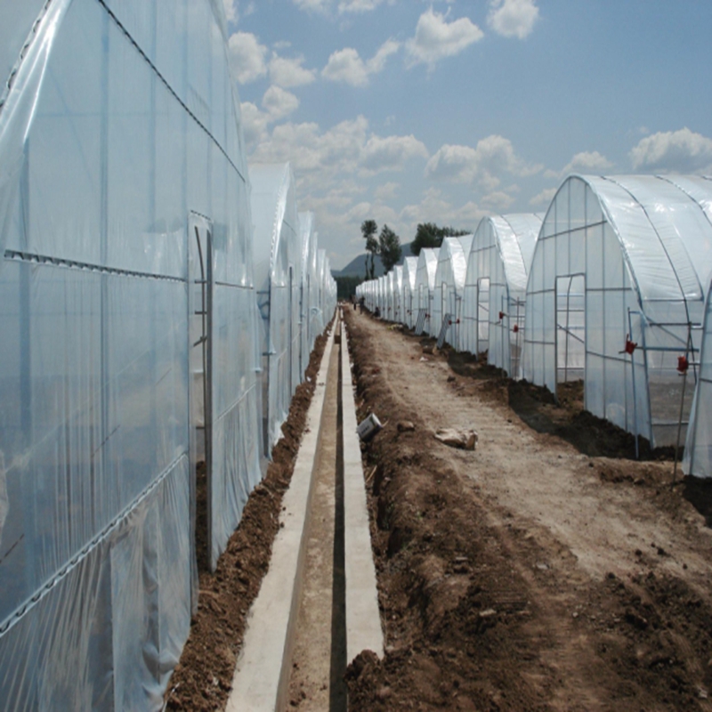 Agriculture Farming Vegetables - Пленка для сельскохозяйственных теплиц толщиной 0,04~0,12