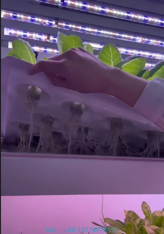 Agriculture Farming Vegetables - f Теплица Сельскохозяйственное оборудование для выращивания