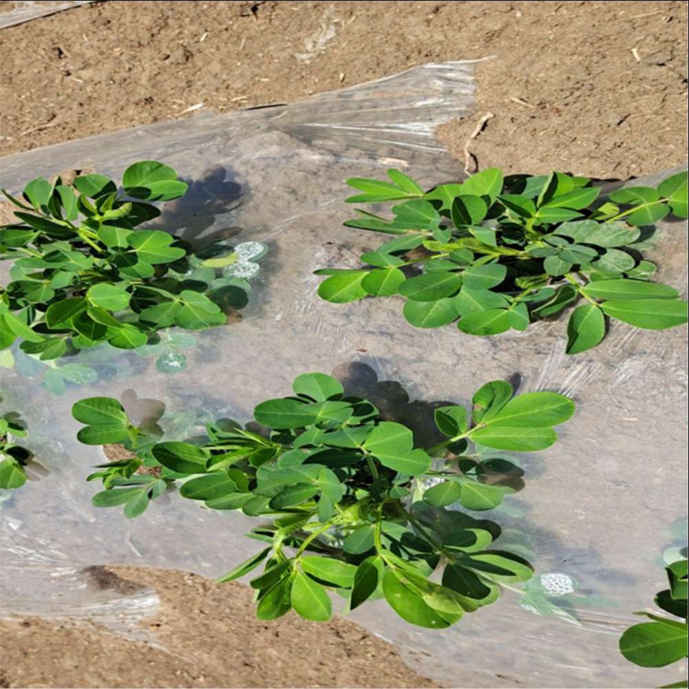 Сельскохозяйственная ферма, те – обзор и цена Agriculture Farming Vegetables