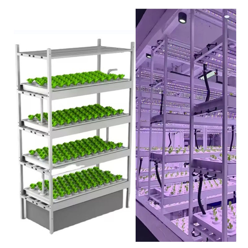 f Теплица Сельскохозяйственное – обзор и цена Agriculture Farming Vegetables