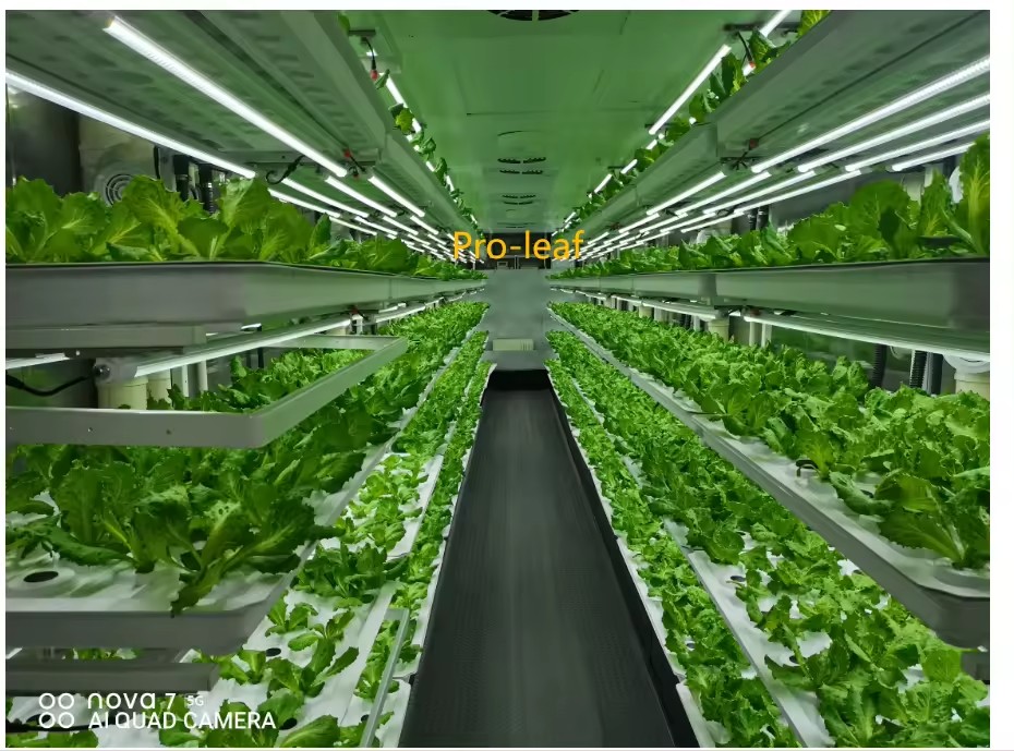 f Теплица Сельскохозяйственное – обзор и цена Agriculture Farming Vegetables