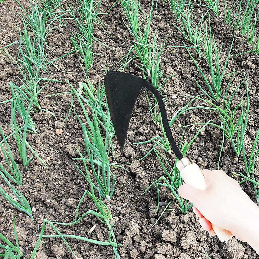 Сельскохозяйственные Инструмен – обзор и цена Agriculture Farming Vegetables