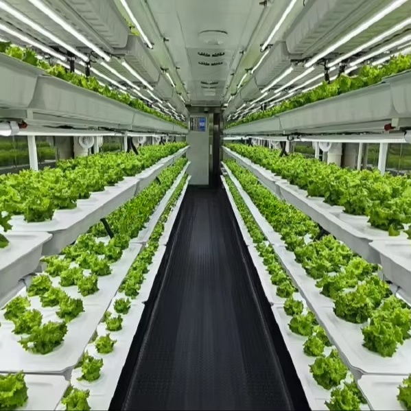 Умная автоматическая аэропонна – обзор и цена Farming A